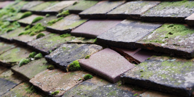 Catthorpe roof repair costs